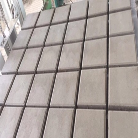 solid Twin-Shaft Mixer